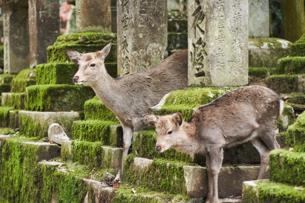 AdobeStock_2085652920