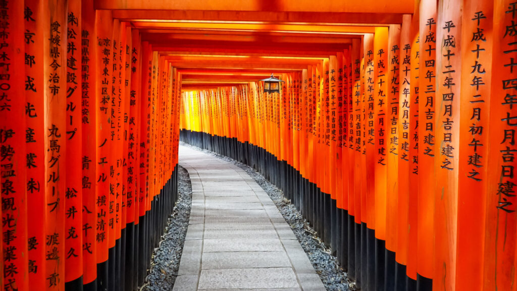 AdobeStock_313757969